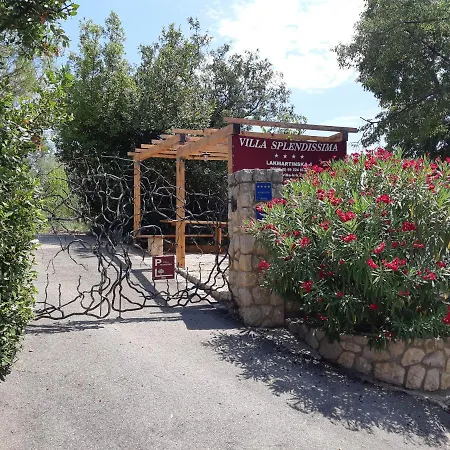 Villa Splendissima Krk - Adults Only Krk Town Exterior foto