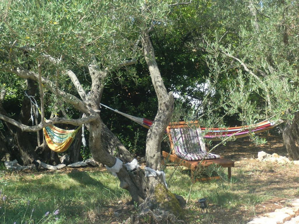 Splendissima Krk - Adults Only