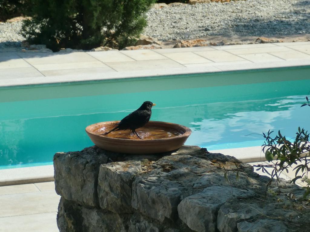 Splendissima Krk - Adults Only Apartmán *