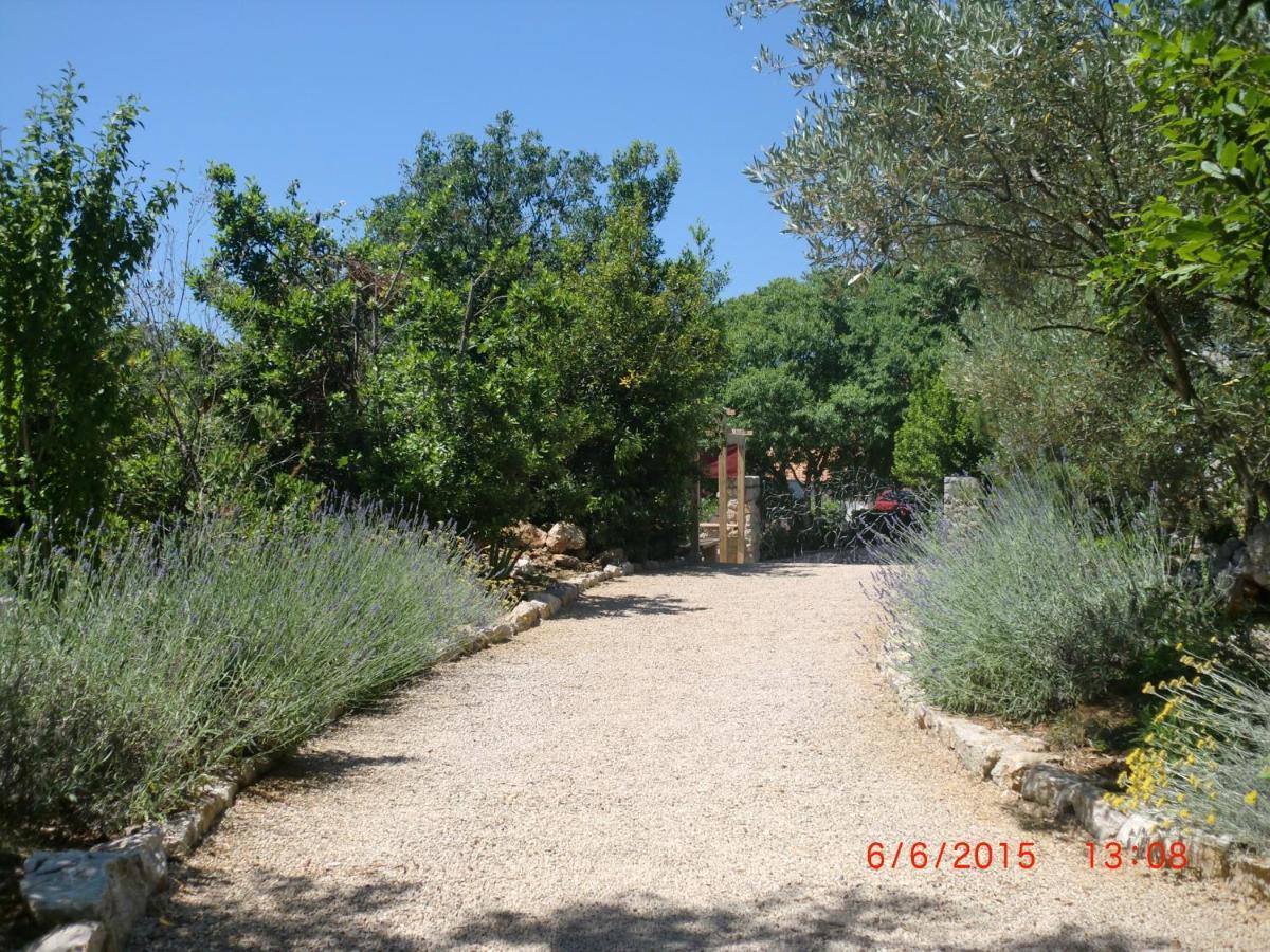 Splendissima Krk - Adults Only Krk Town