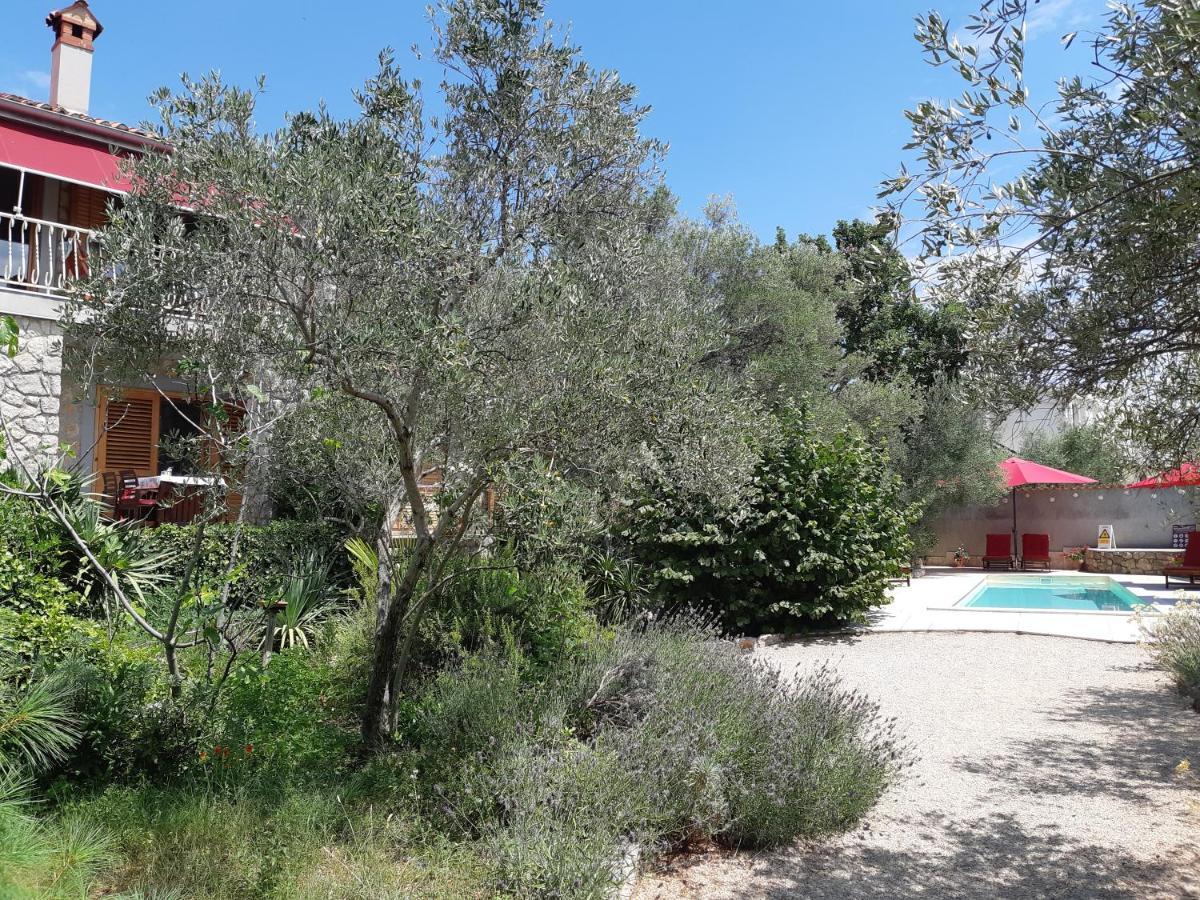Splendissima Krk - Adults Only *
